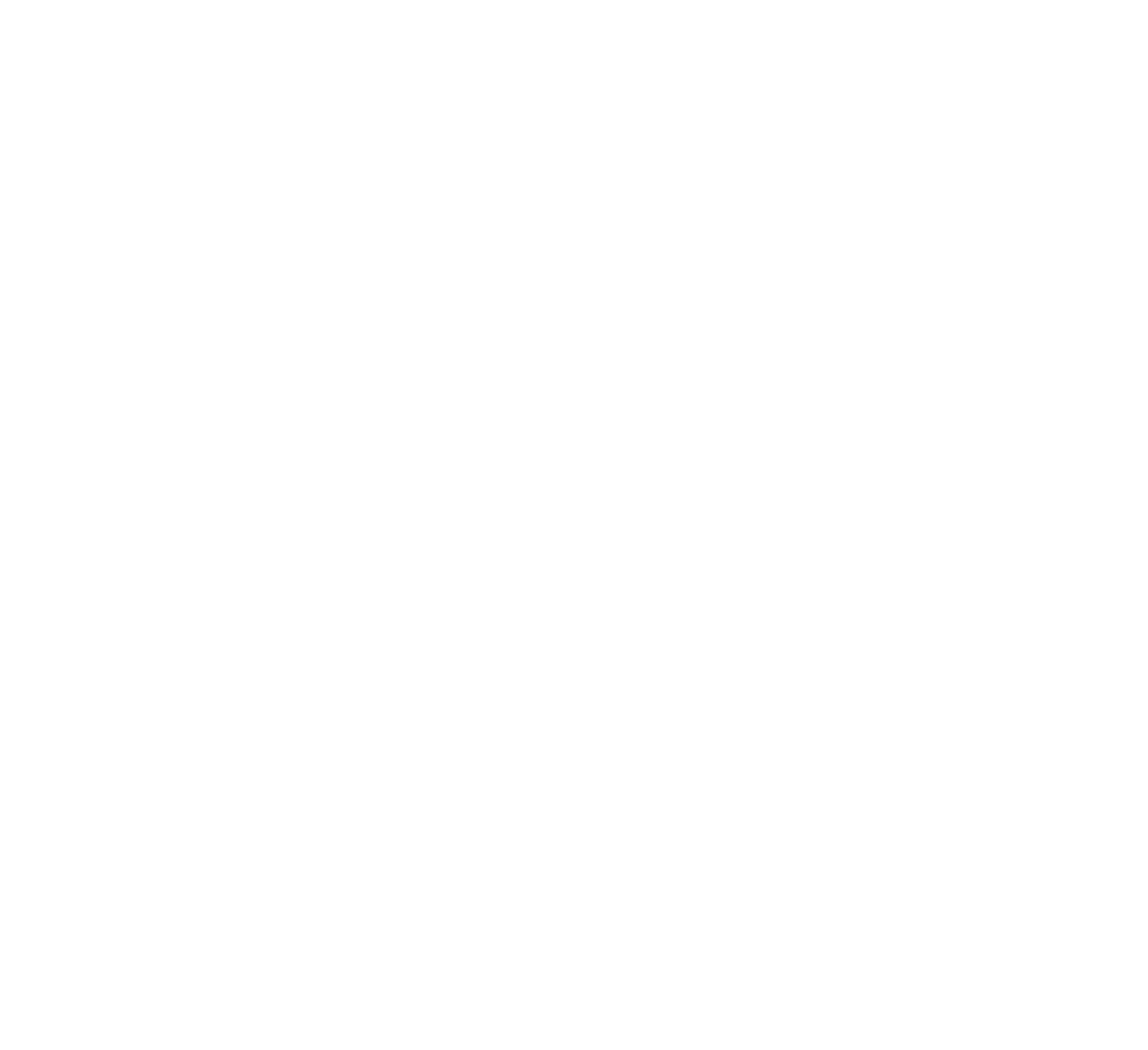 Here logo white
